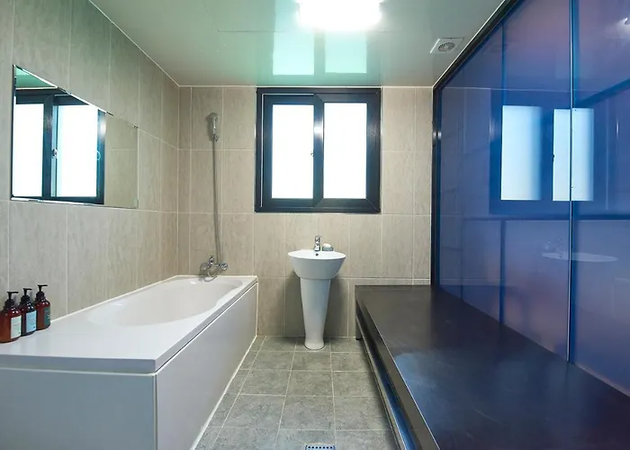 Hotel Danube Seomyeon *