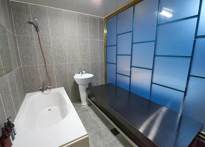 Hotel Danube Seomyeon *