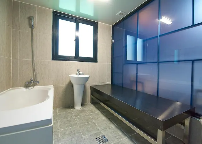 Hotel Danube Seomyeon *