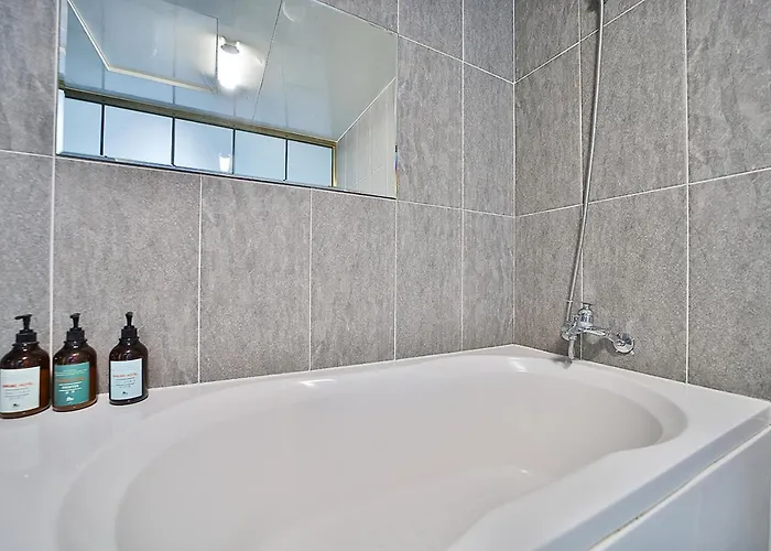 Danube Seomyeon Hotel *