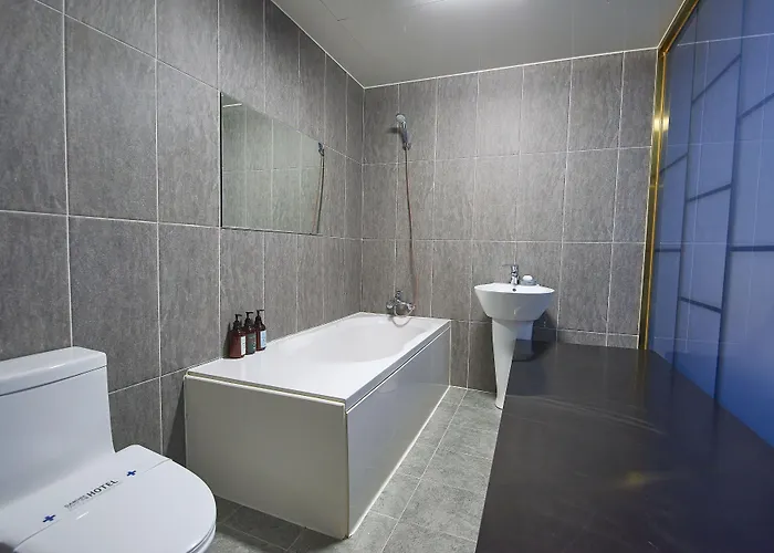 Danube Seomyeon Hotel *