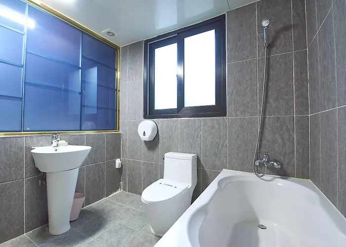 Hotel Danube Seomyeon